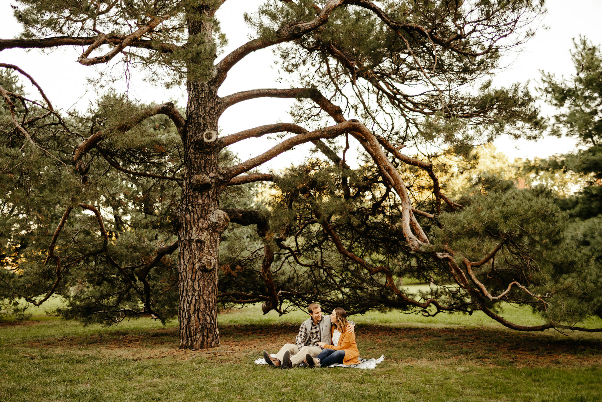 couple sitting together under big evergreen tree during fall at sunset