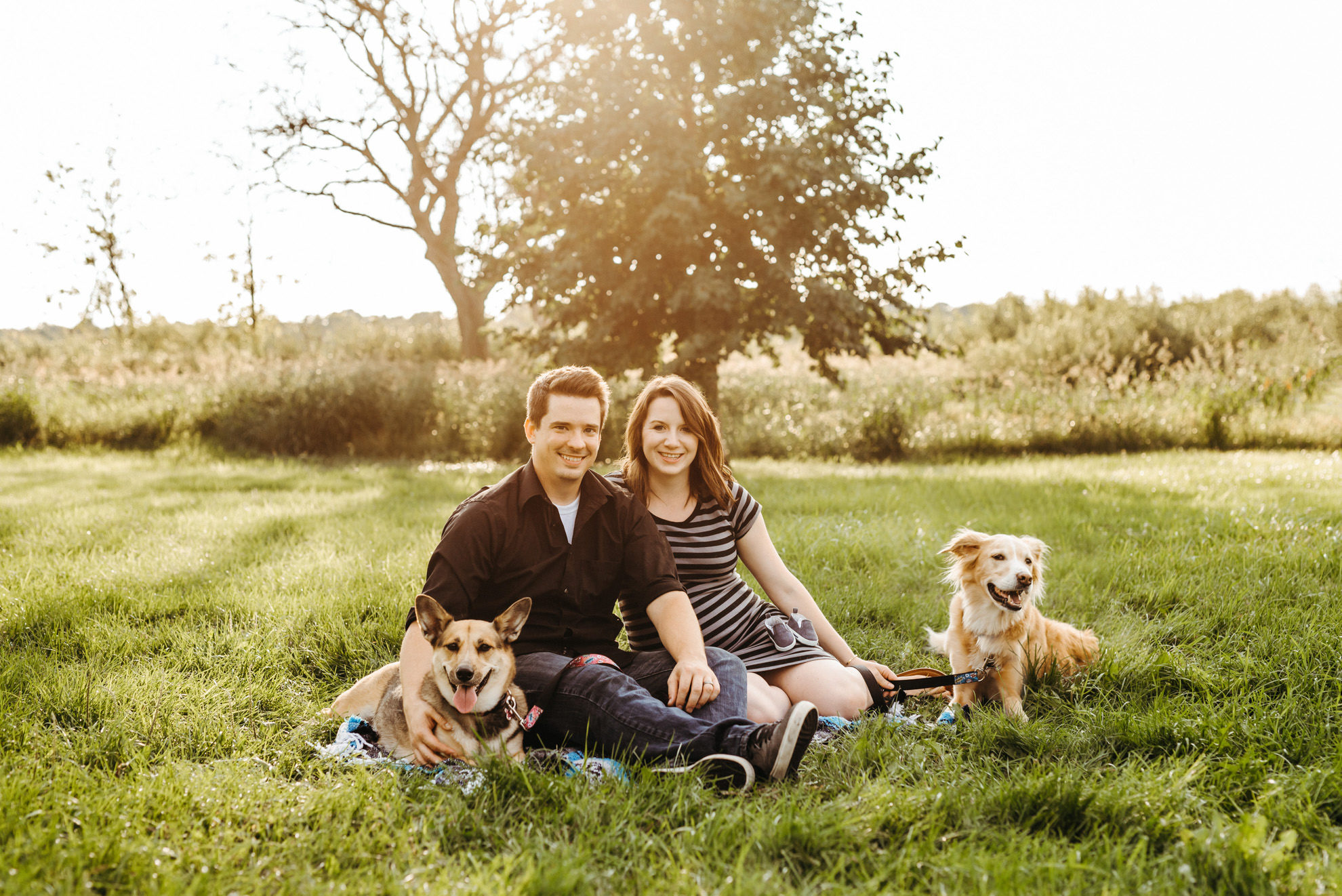 pregnant couple with two dogs sitting on blanket in park smiling at camera